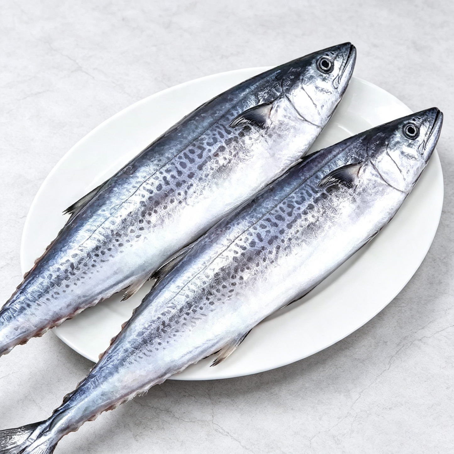 Large Fresh Spanish Mackerel