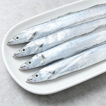 Small Eye Hairtail Fish